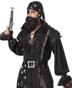 California Costumes Men's Plundering Pirate Adult Costume