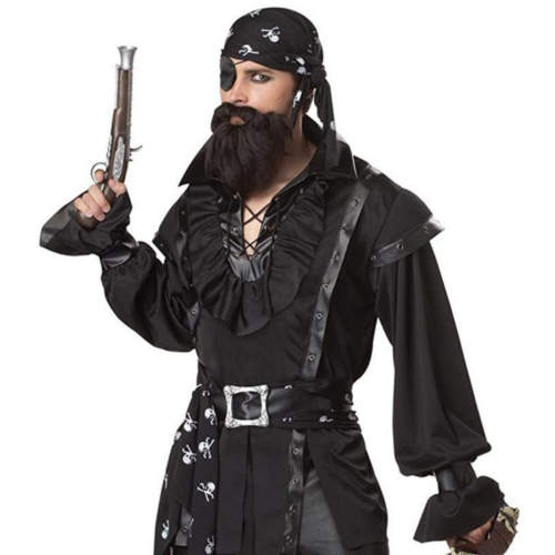 California Costumes Men's Plundering Pirate Adult Costume