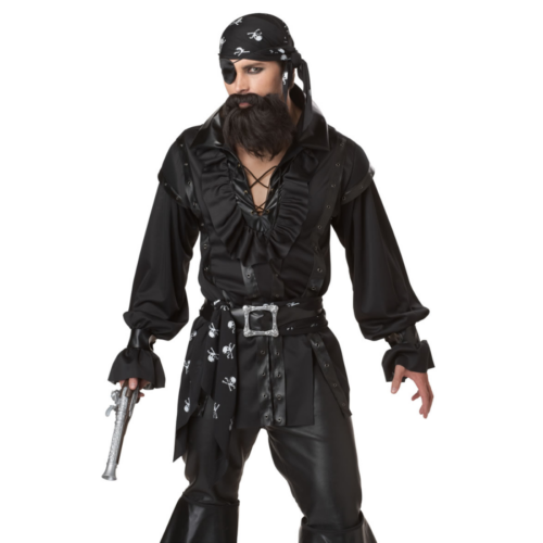California Costumes Men's Plundering Pirate Adult Costume hands down