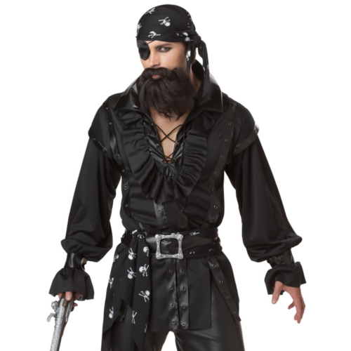 California Costumes Men's Plundering Pirate Adult Costume hands down zoom