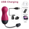 SEXY SLAVE Waterproof 10x Rechargeable Wireless Remote Bullet Vibrator charging